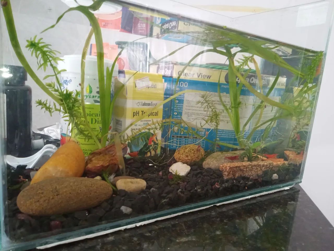 Aquario - Foto 2