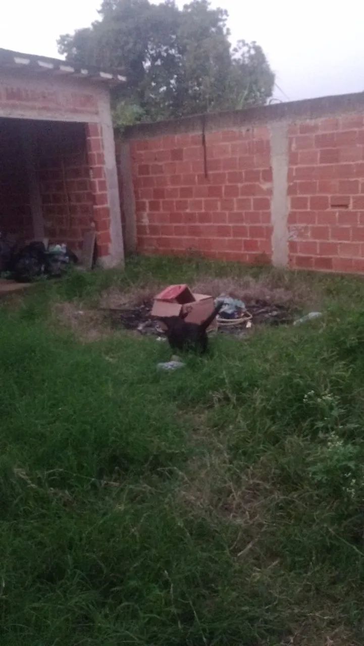Terreno  - Foto 3