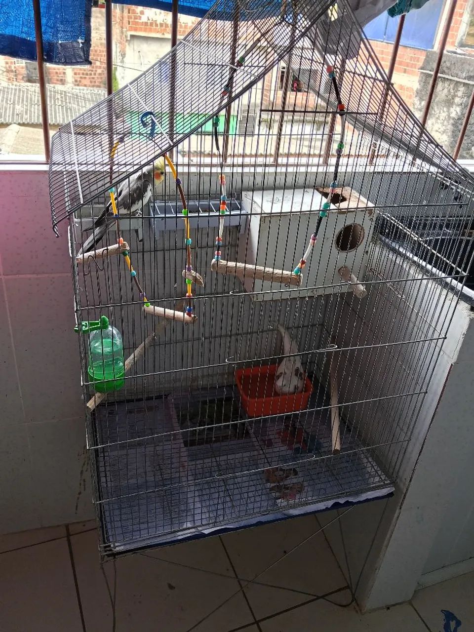 Viveiro para calopsitas