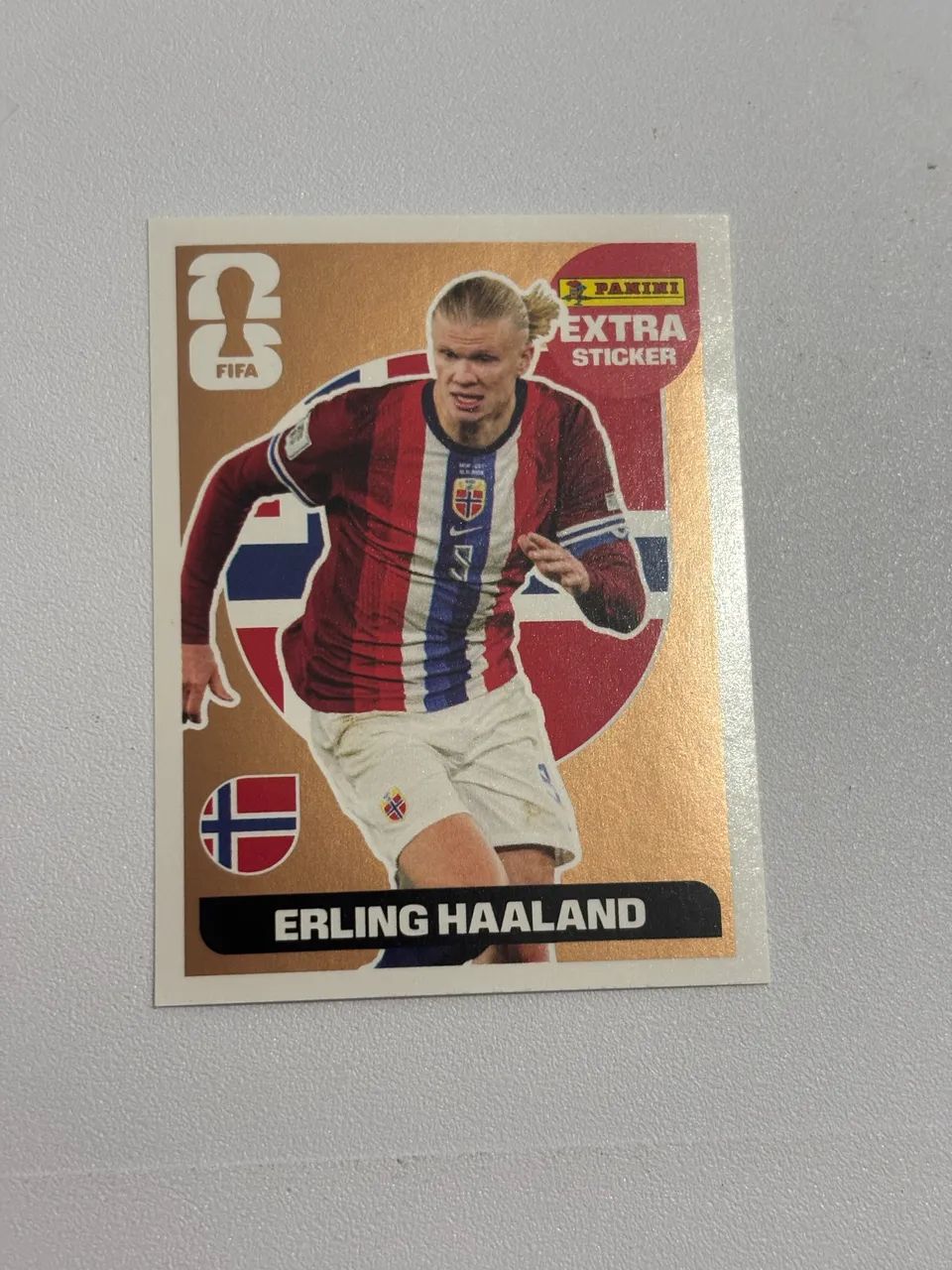 LEGEND HAALAND BRONZE