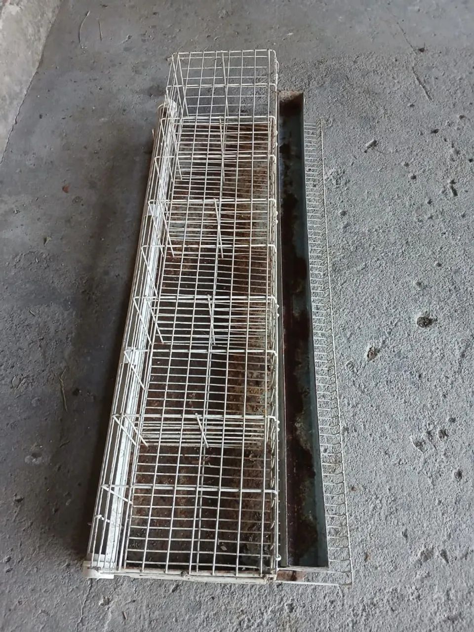Gaiola pra codorna  - Foto 4