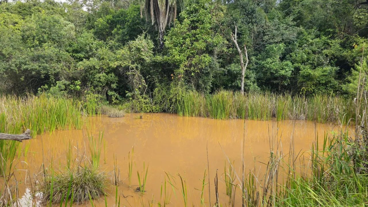 Área rural em serra azul mateus leme 