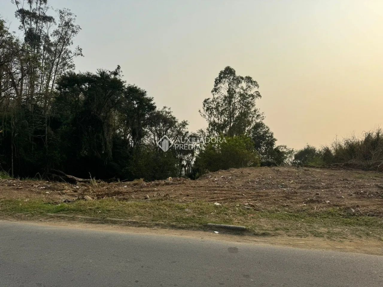 !!!!OPORTUNIDADE!!! Vendo terreno na Agronômica - Florianópolis - Foto 4