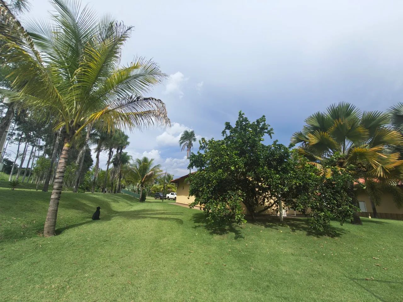 Fazenda Extra 37 alqueires - Silvânia 