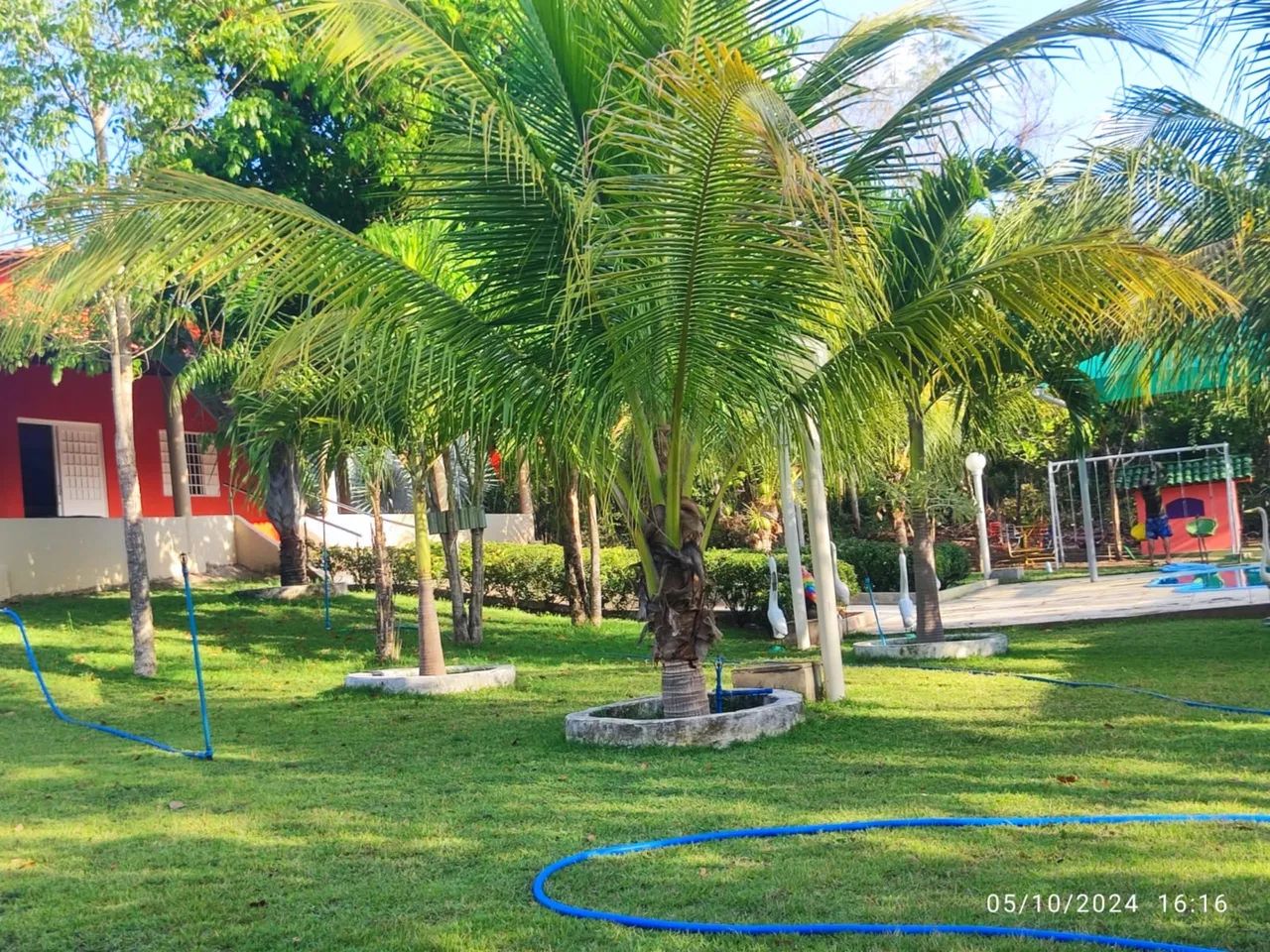 Sítio próximo ao povoado Santa Teresa - Foto 4