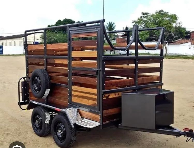 Carrocinha pontes entrega já homologada no Detran  - Foto 6