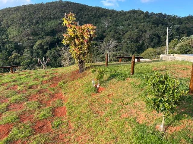 Lindo e preservado sítio, em Barra Alegre - Bom Jardim - RJ. - Foto 10