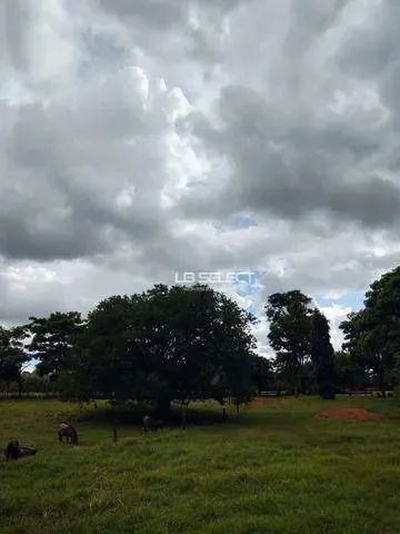 Fazenda na região de Ituiutaba com 133 hectares. - Foto 5
