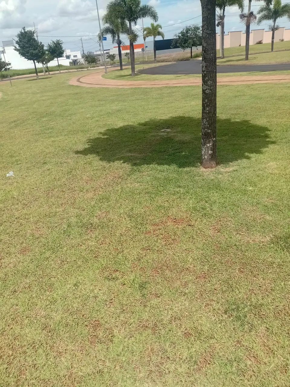 Jardineiro 