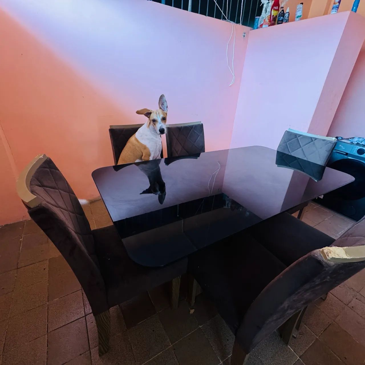 Mesa de jantar 6 cadeiras 