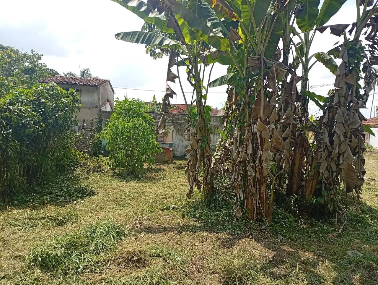 Terreno em marituba 11x11