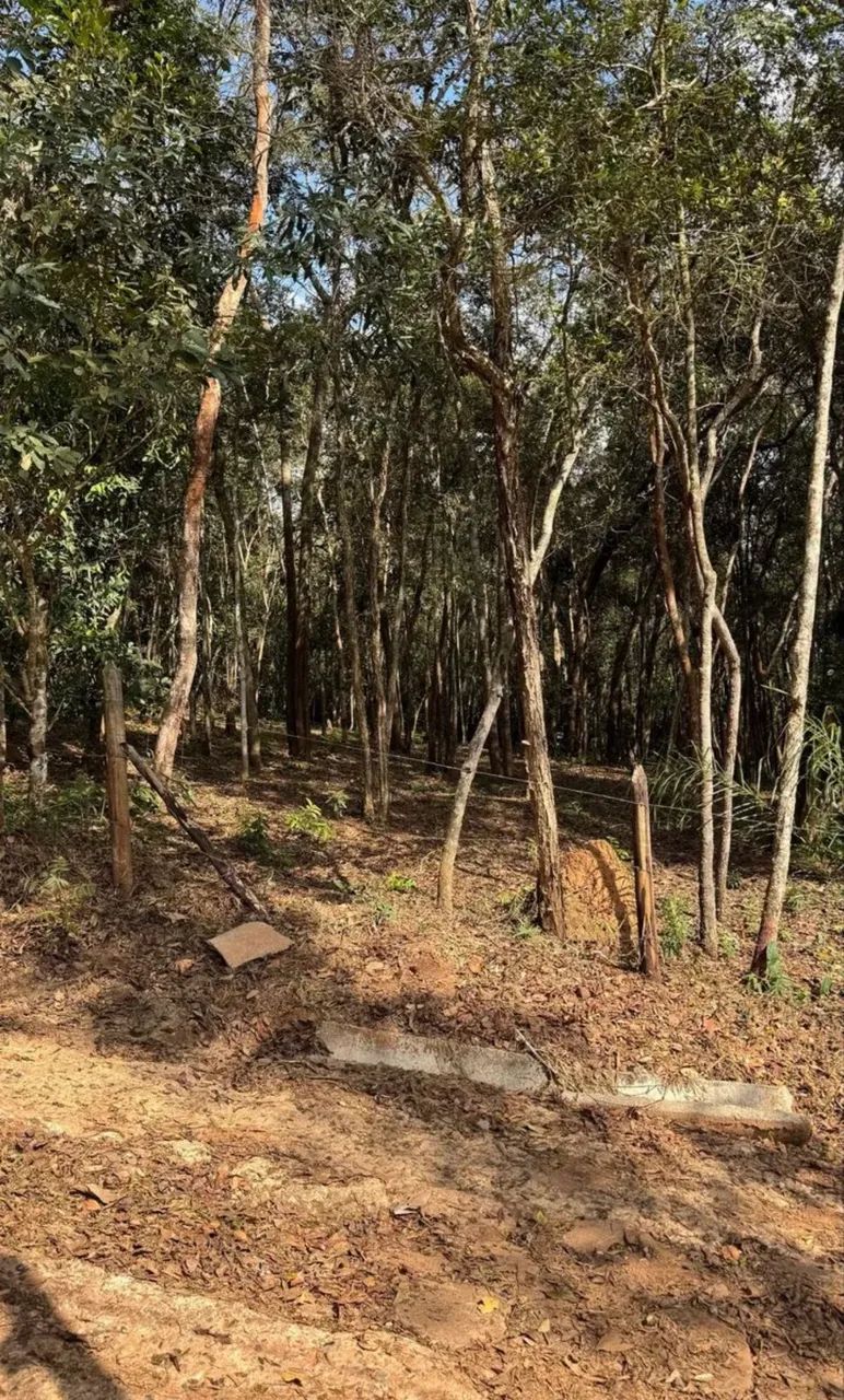 VENDO LOTES COM PREÇO IMPERDÍVEL (LEIA A DESCRIÇÃO)