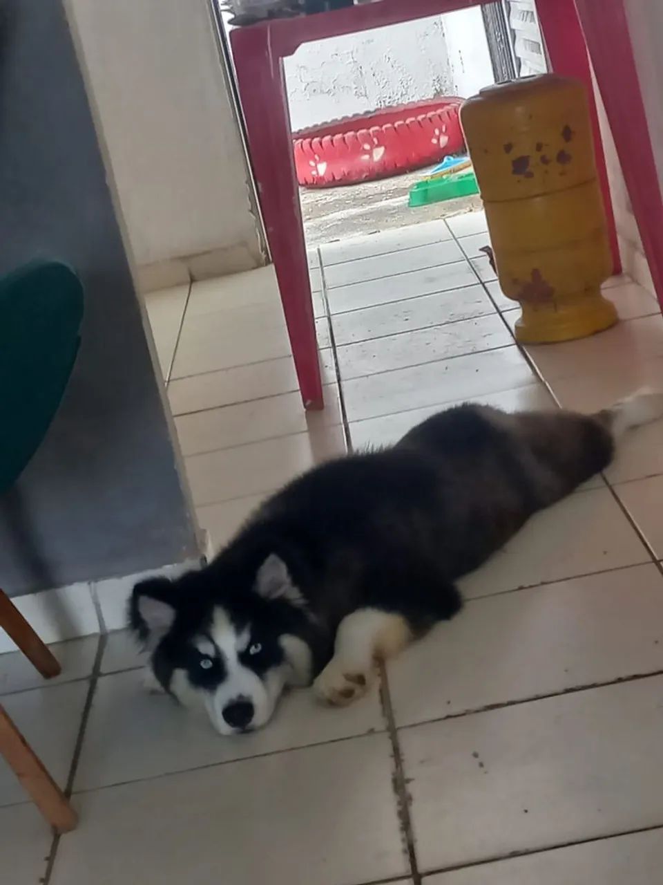 Vendo