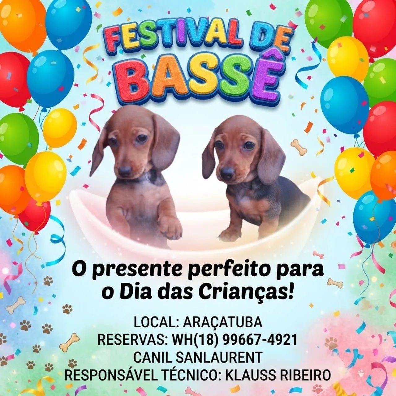 Bassê padrão variado  - Foto 2