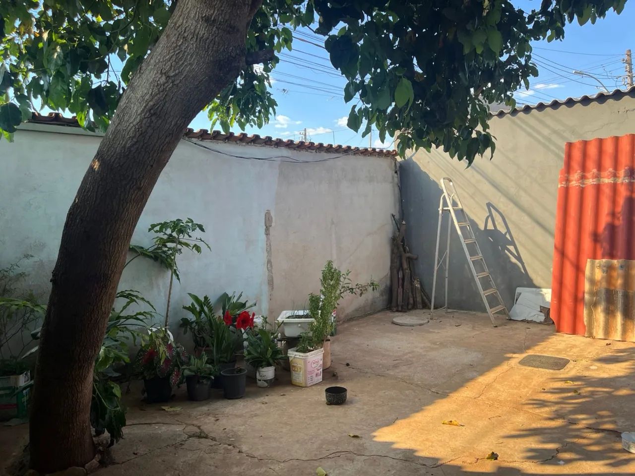1 Casa e 2 Lojas em Santa Maria  - Foto 4