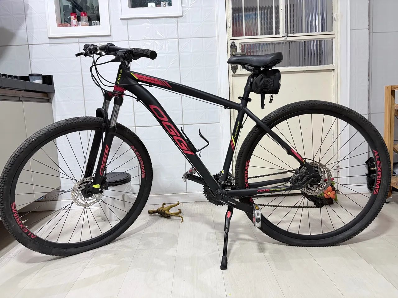 Bicicleta Oggi