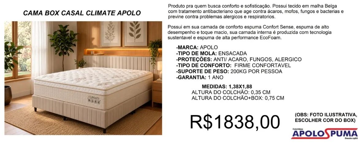 CONJUNTO CASA DE MOLAS 35CM ALTURA 