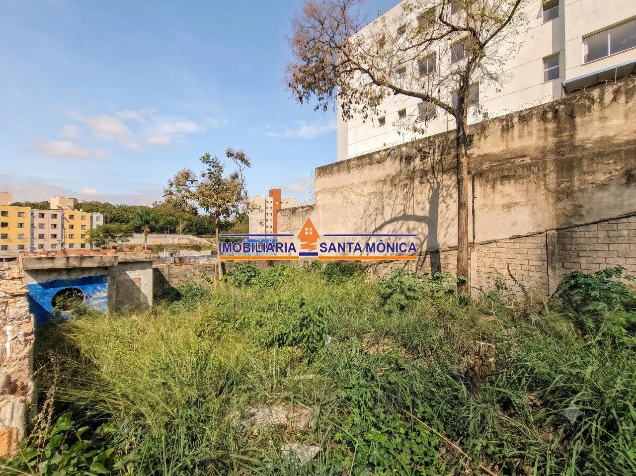 Lote 395m² - São João Batista - Foto 4
