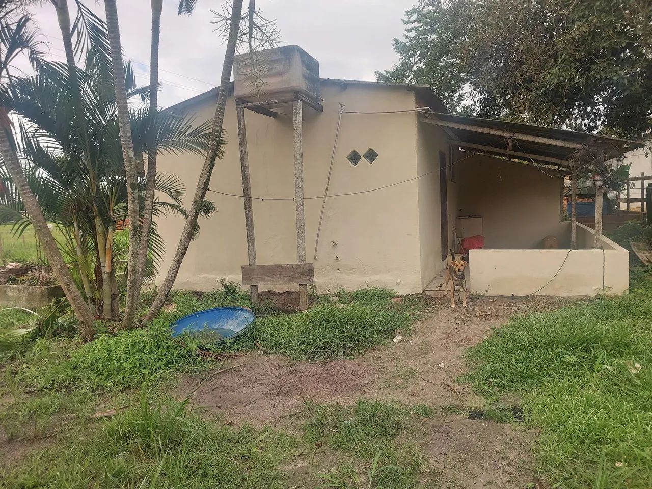 Sítio em Araruama  - Foto 5