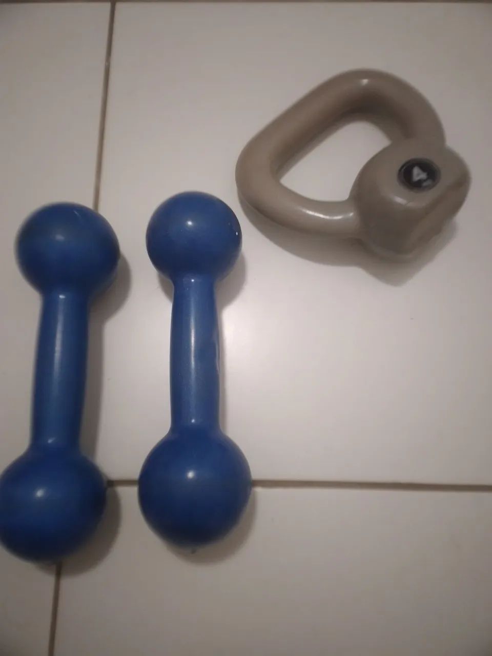 Halteres academia