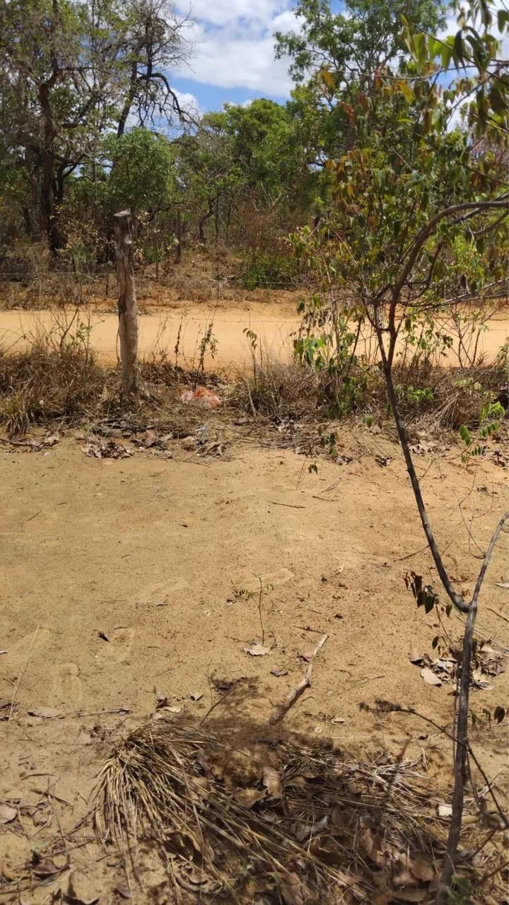 Terreno de 5.000 metros  - Foto 4