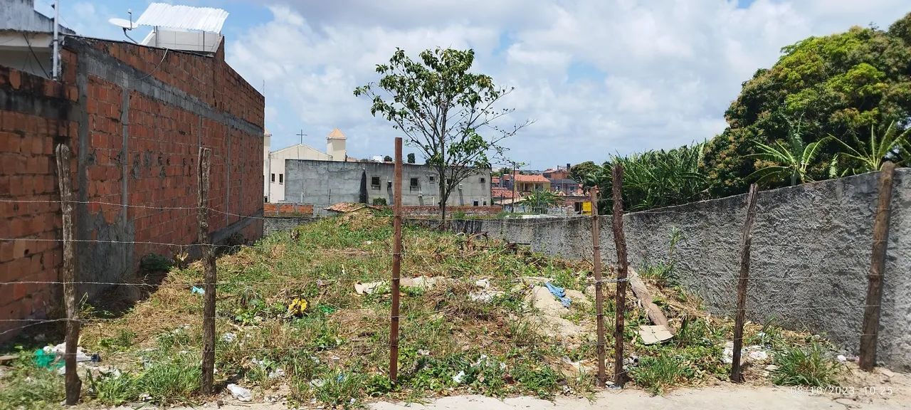 Terreno à Venda - Excelente Oportunidade! - Foto 4