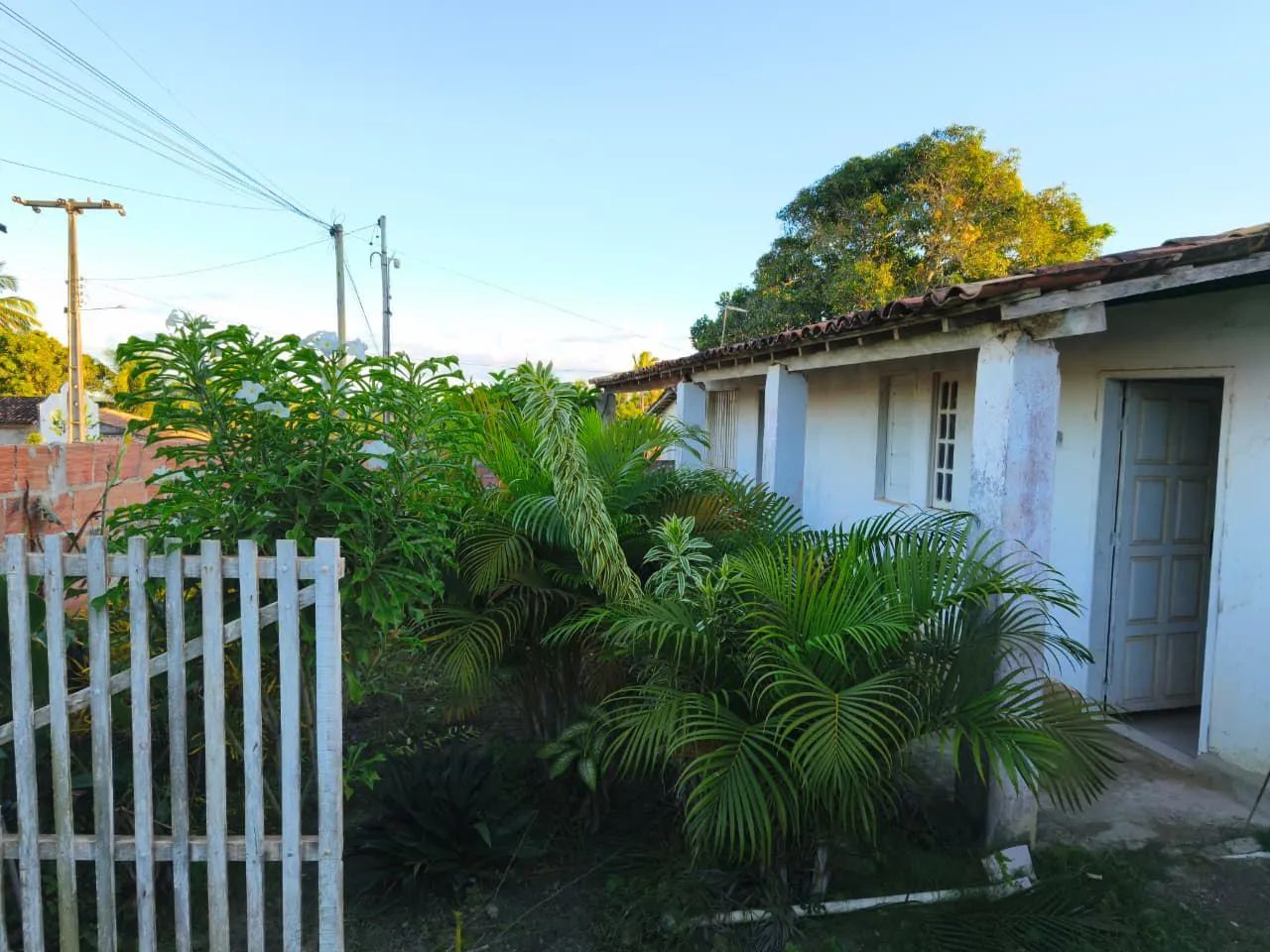 Vendo Sítio em Estância