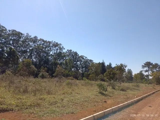 ÁREA DE 14 HECTARES PARANOÁ DF - Foto 5