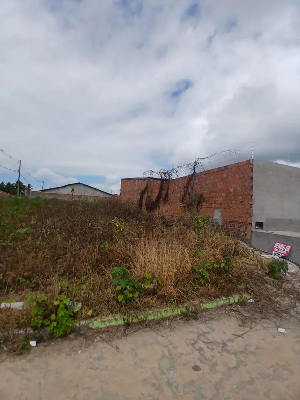 Terreno em Coruripe  - Foto 3