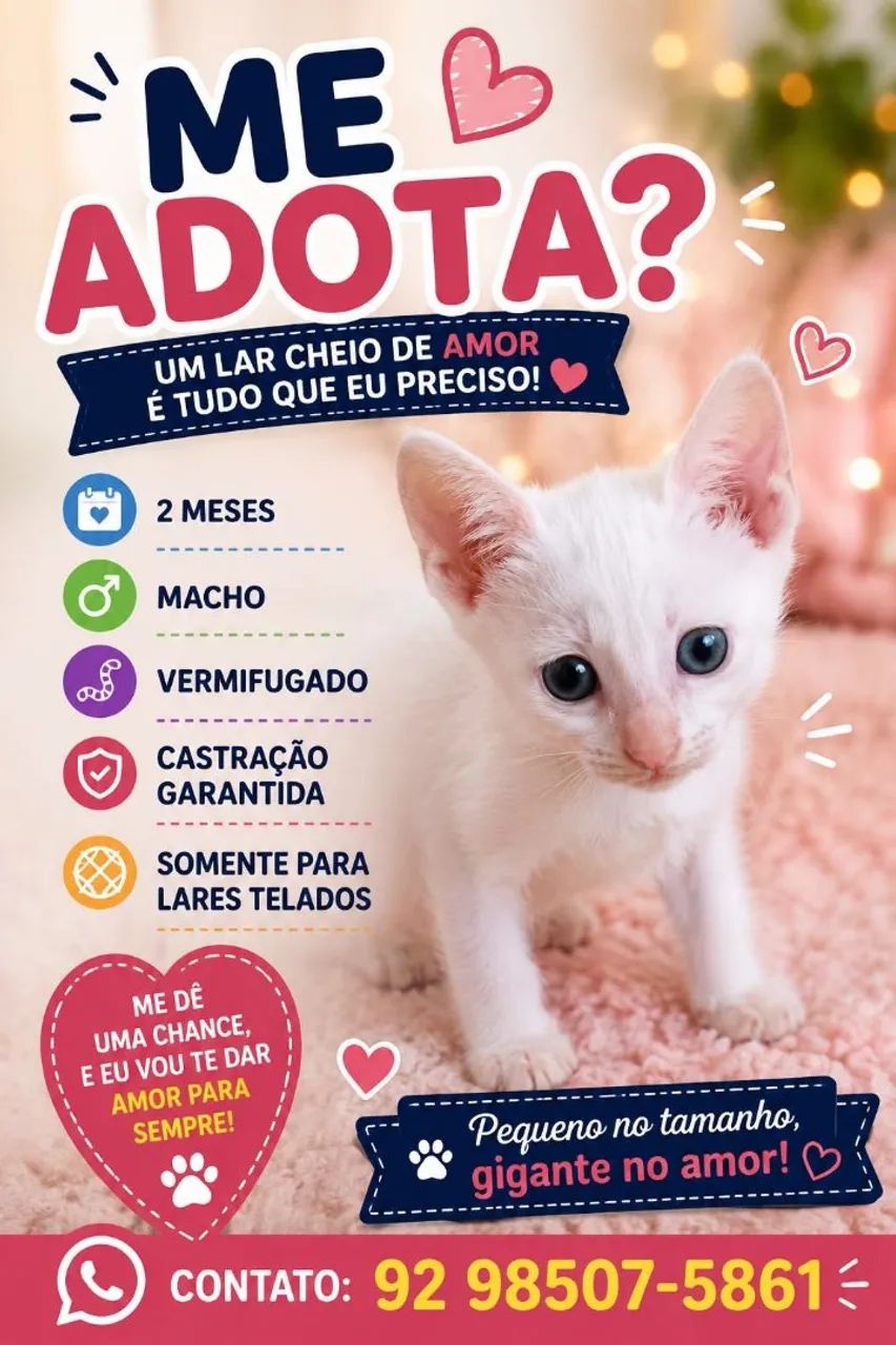 Gatinhos para adoção responsável  - Foto 2
