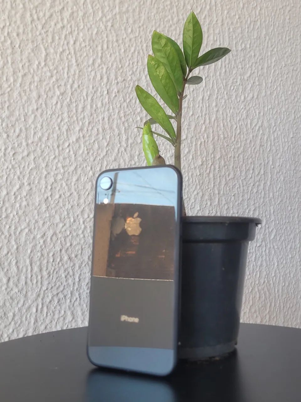iPhone XR Barato - Foto 3