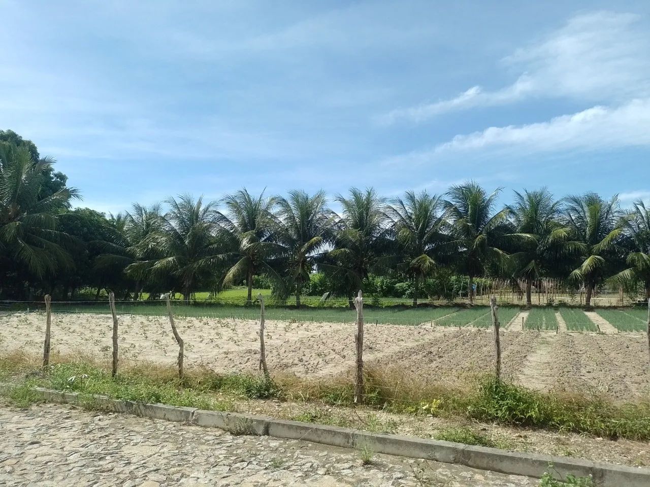 Terreno à venda proximo a CE-010, Encantada, Eusébio - Foto 2