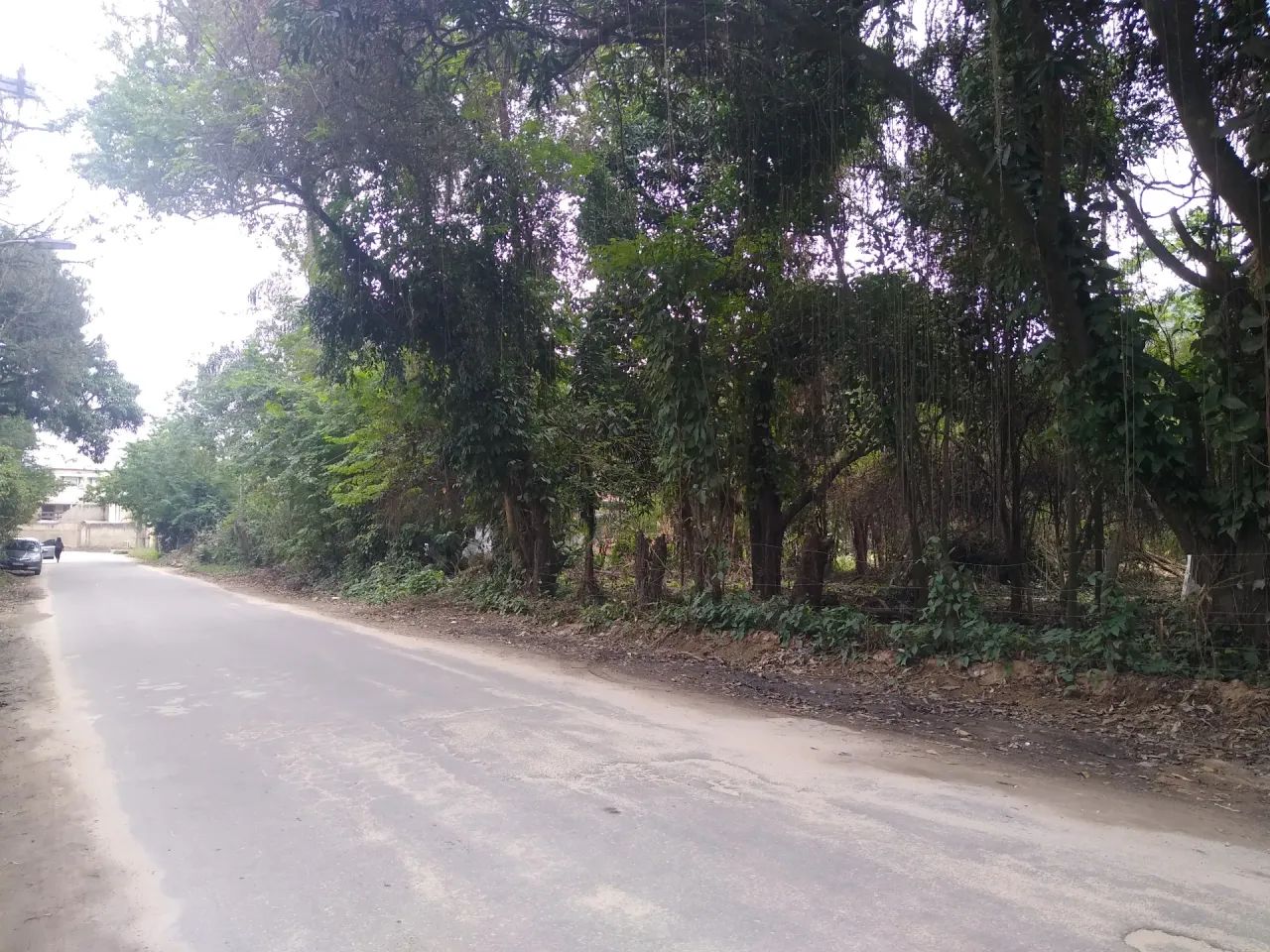Terreno Comercial Plano com 3.000 m² no Rio da Prata