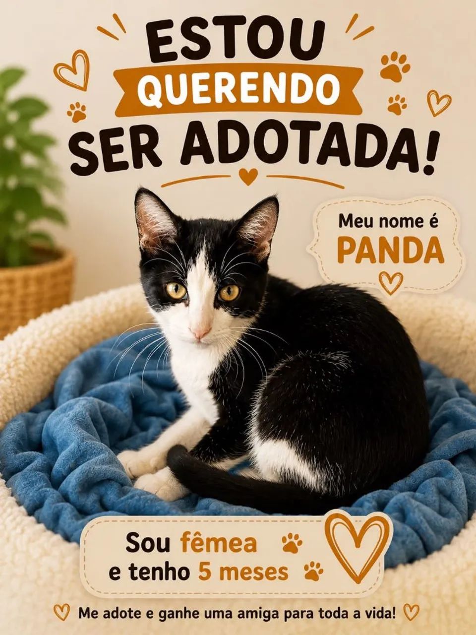 Gatinho 