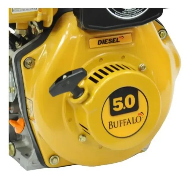 MOTOR BUFFALO DIESEL BFD 5.0CV PLUS 19,05 - Foto 3