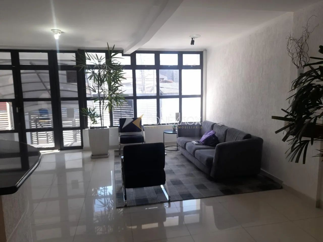 sala - Bosque - Campinas - Foto 2