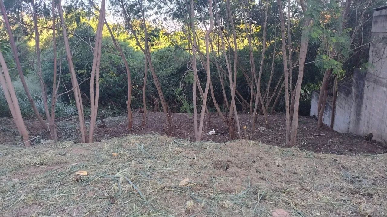 Terreno em Centro - São Pedro - Foto 2