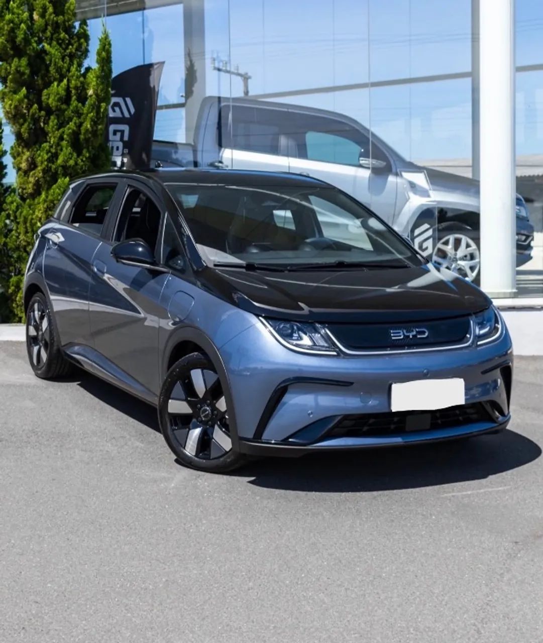 BYD Dolphin 2024