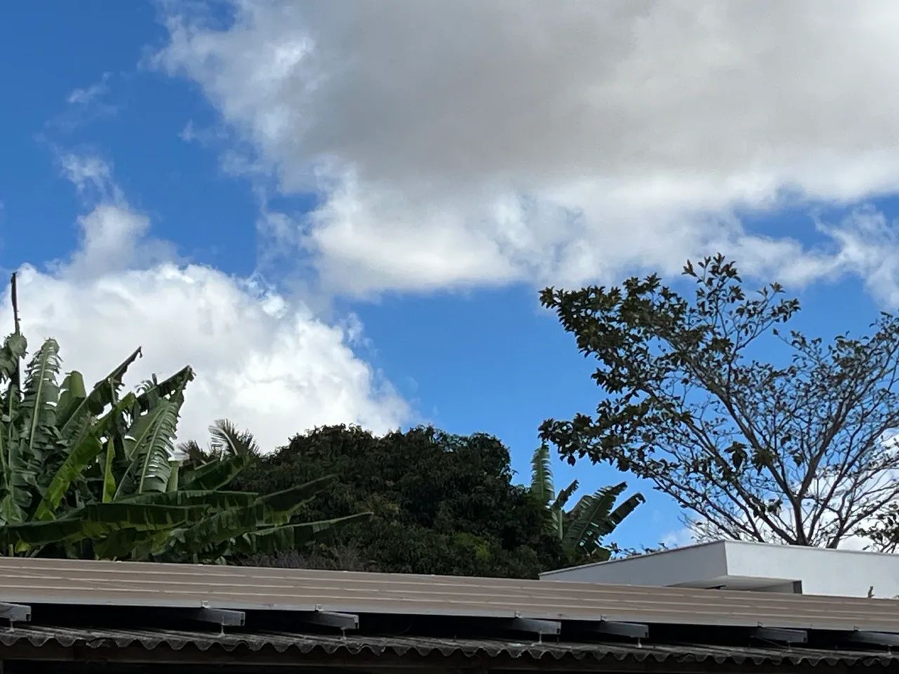Foto - Brasília - Setor Habitacional Arniqueira (Águas Claras)