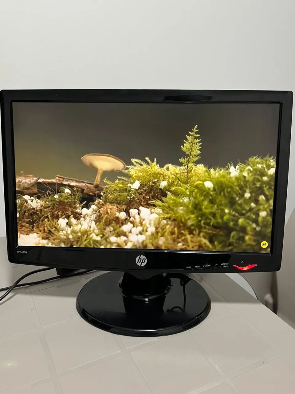 Monitor HP da LG 18,5 Polegadas 