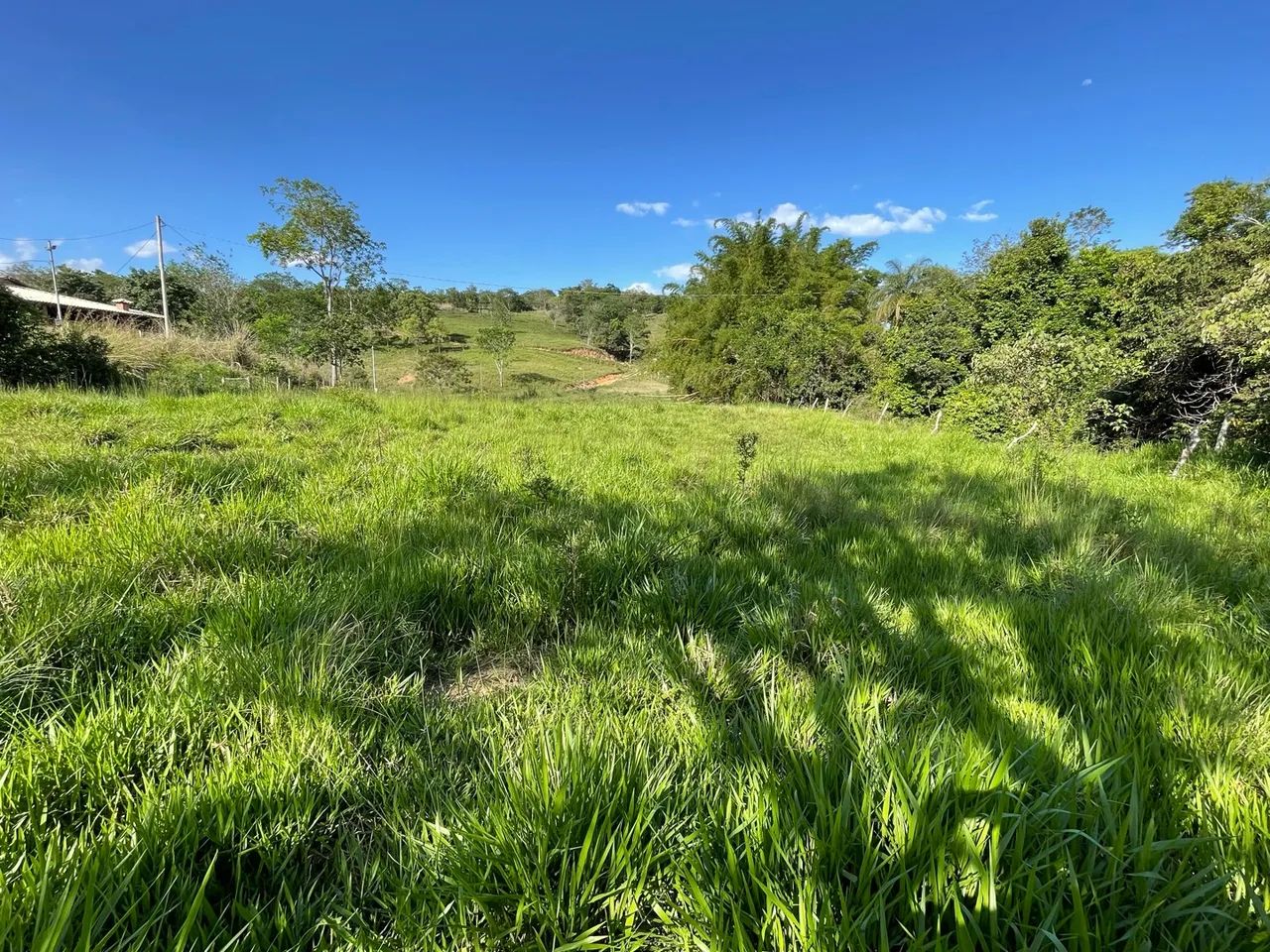 Fazendinha 32.000.00 - Foto 5
