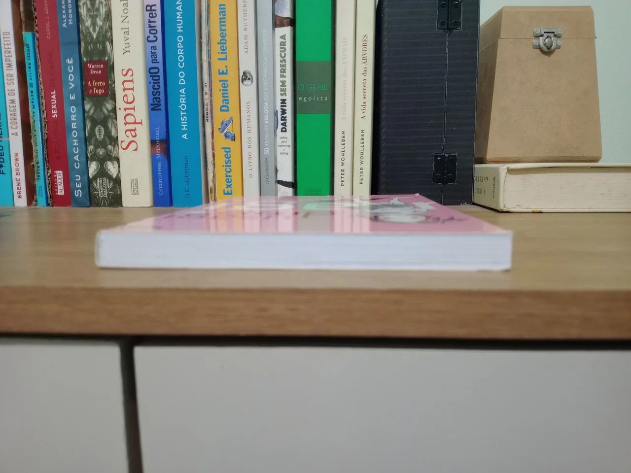 Usagi Drop - Volume 2 - Foto 3