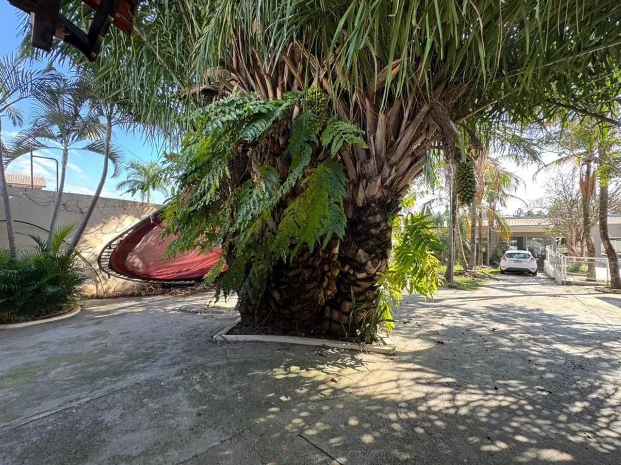Chácara à venda e para alugar em Nova Odessa, Green Village, com 2 quartos - Foto 5