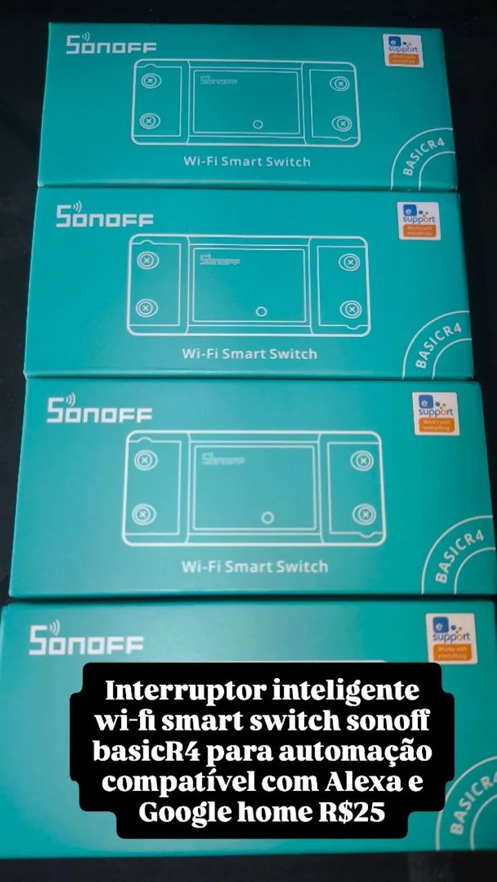 Sonoff basic r4 
