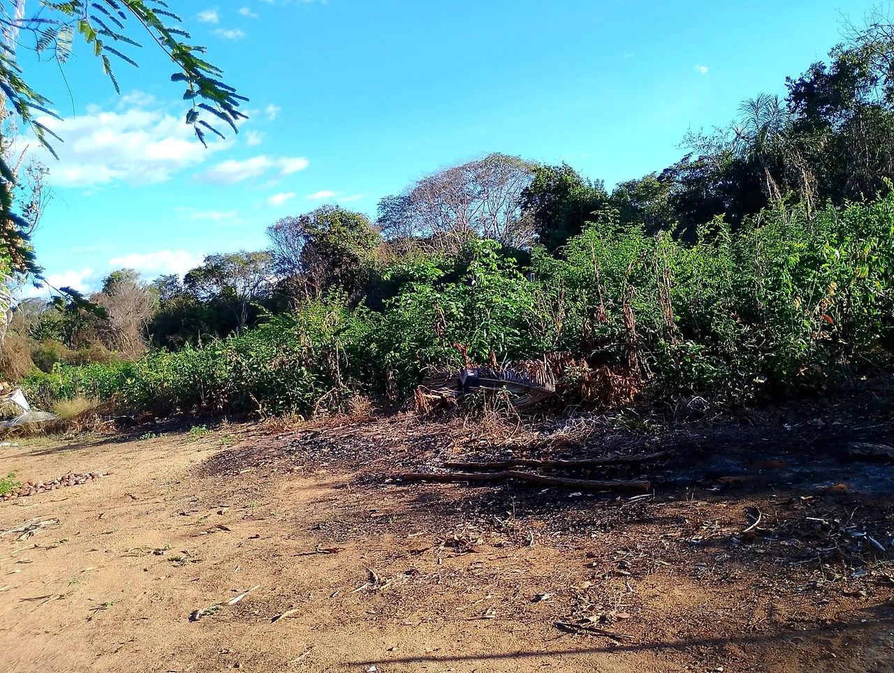 Venda ou aluga - Foto 4
