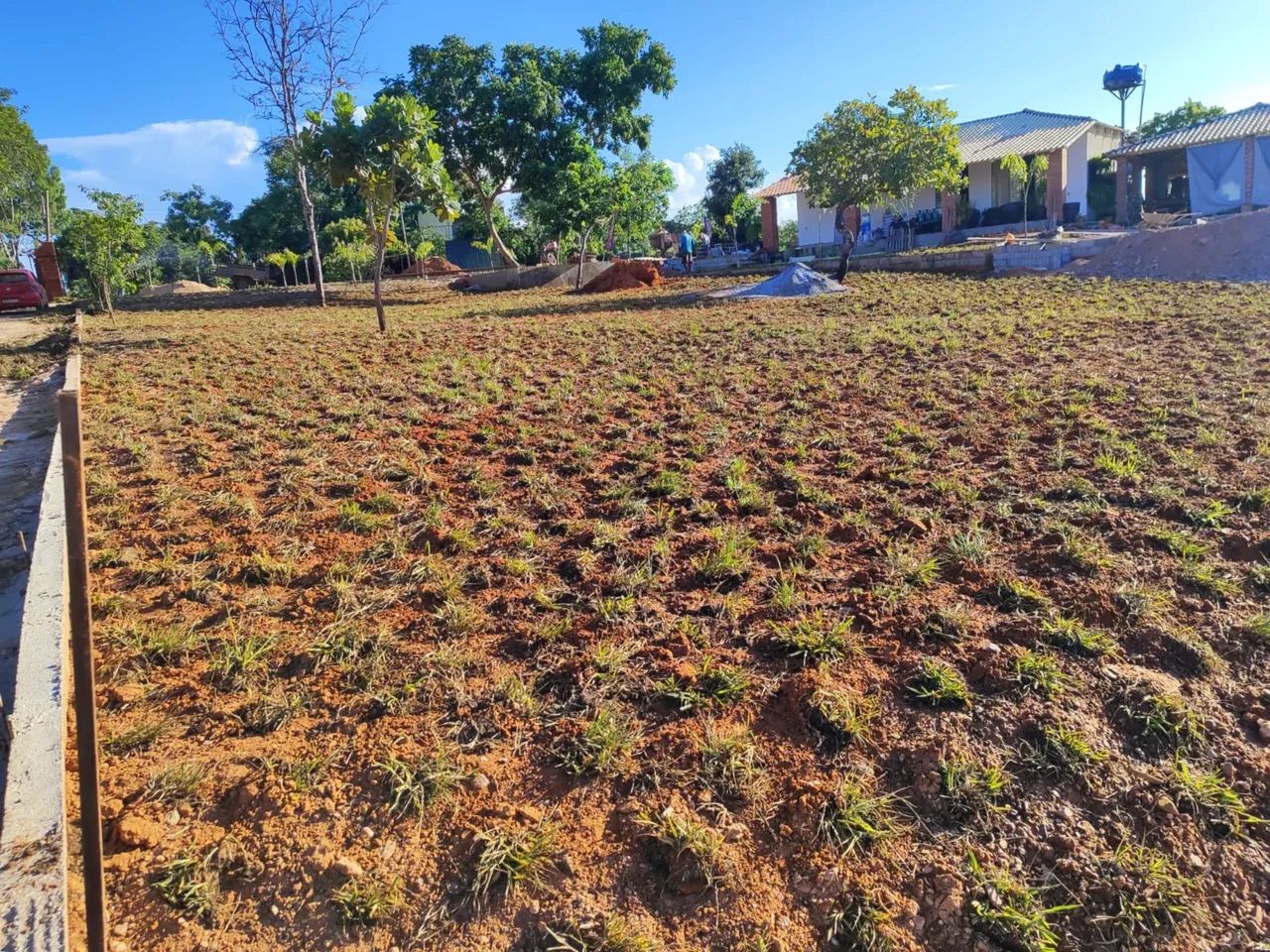 Plantio de Grama Esmeralda, Batatais e Bermuda | Orçamento Gratuito
