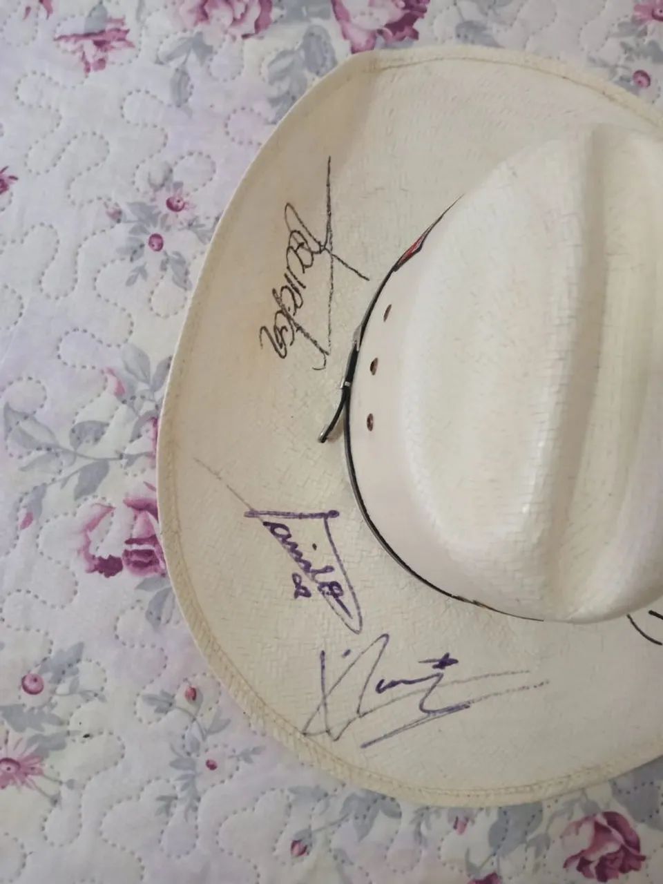 Vendo Chapéu autografado por cantores - Foto 3