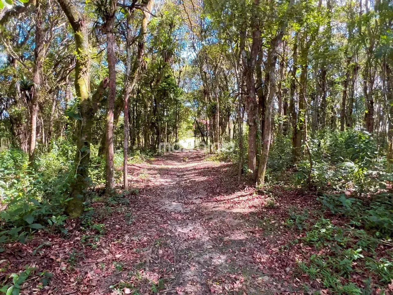 Terreno 585m² em condomínio fechado em Santo Amaro da Imperatriz - Foto 5