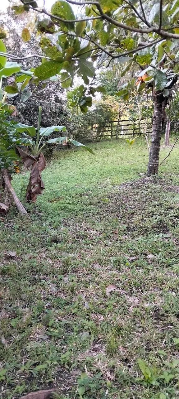 Lotes de terreno e mini chácaras  - Foto 2