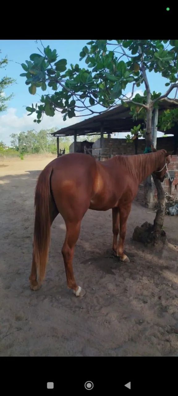 VENDO - Foto 3